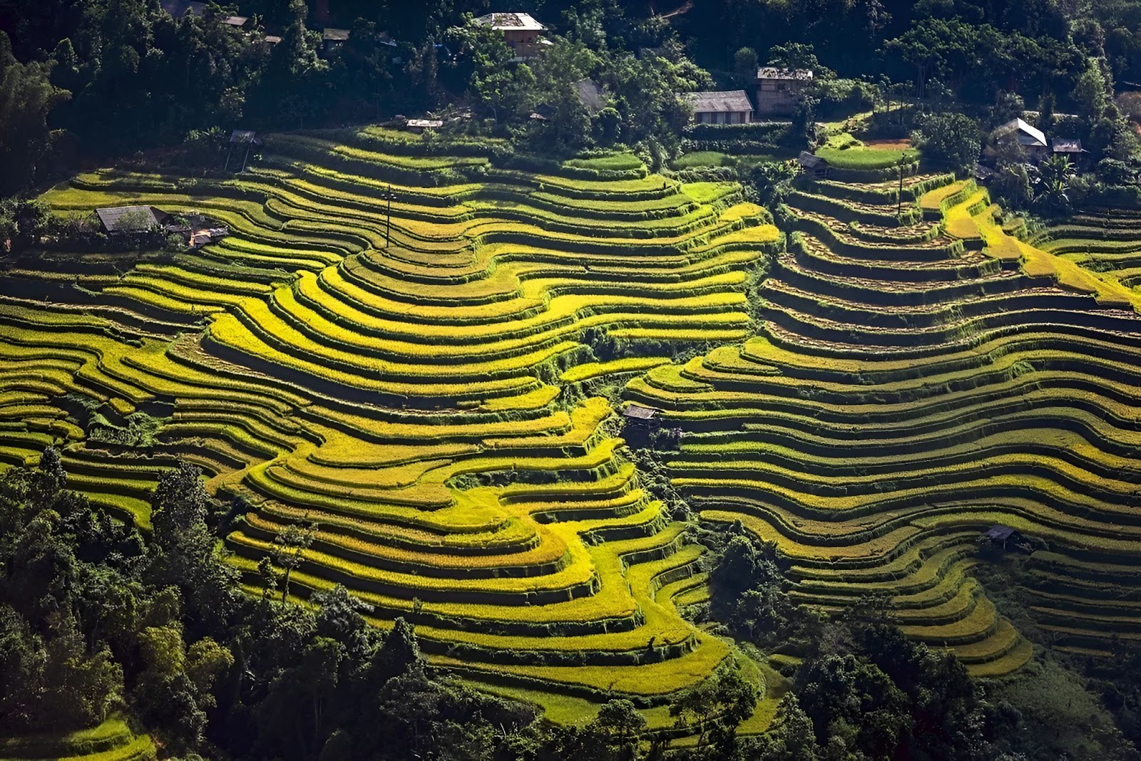 Lên kế hoạch sớm giúp chuyến đi Tết thoải mái hơn. 