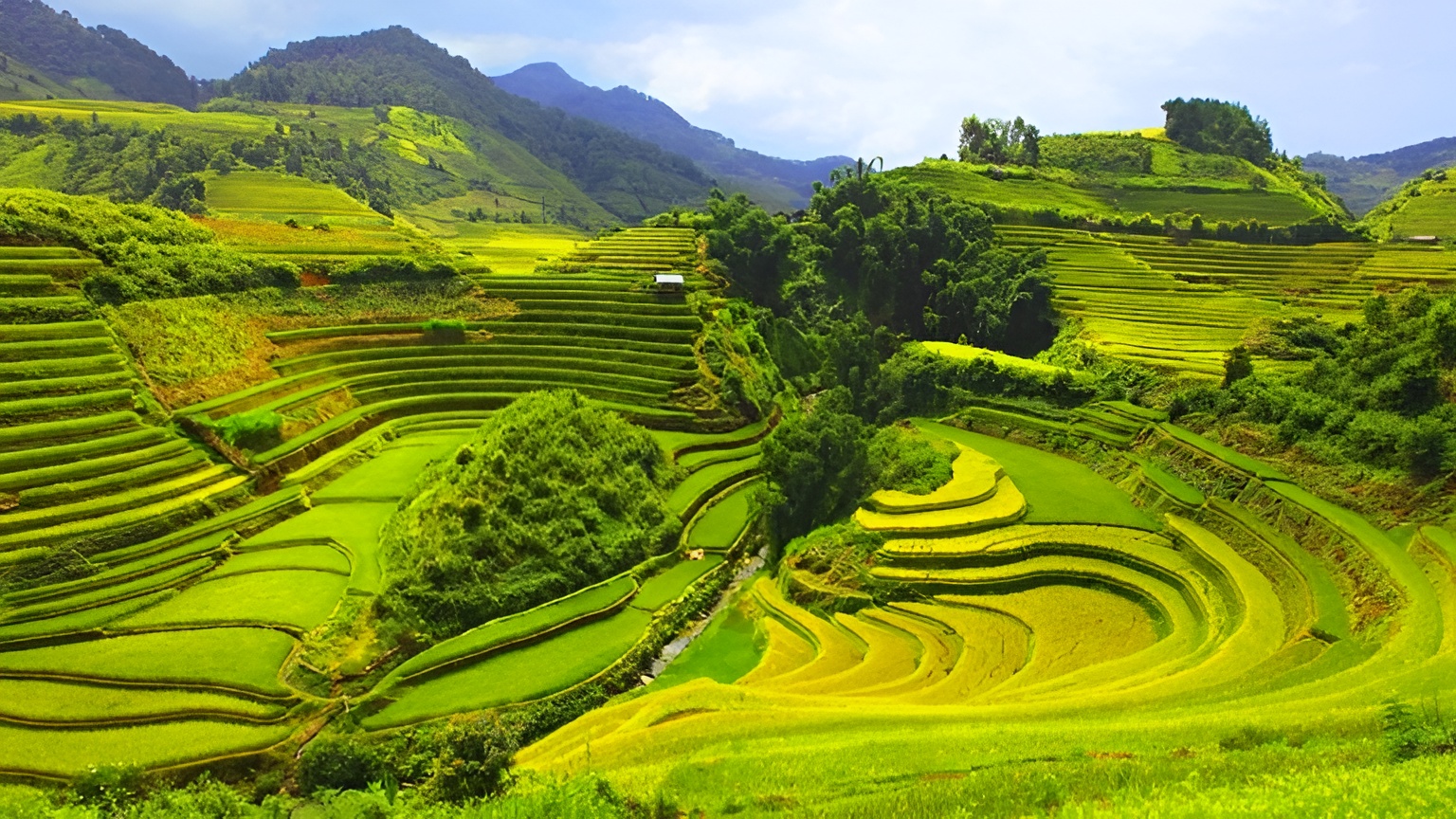 Pù Luông Thanh Hóa, điểm đến lý tưởng cho du lịch nghỉ dưỡng và khám phá thiên nhiên. Pù Luông Thanh Hóa, điểm đến lý tưởng cho du lịch nghỉ dưỡng và khám phá thiên nhiên.