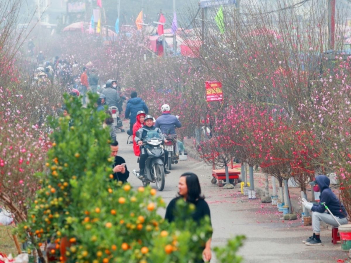 Tết Thanh Hóa se lạnh ban ngày và lạnh sâu hơn vào ban đêm. Tết Thanh Hóa se lạnh ban ngày và lạnh sâu hơn vào ban đêm.