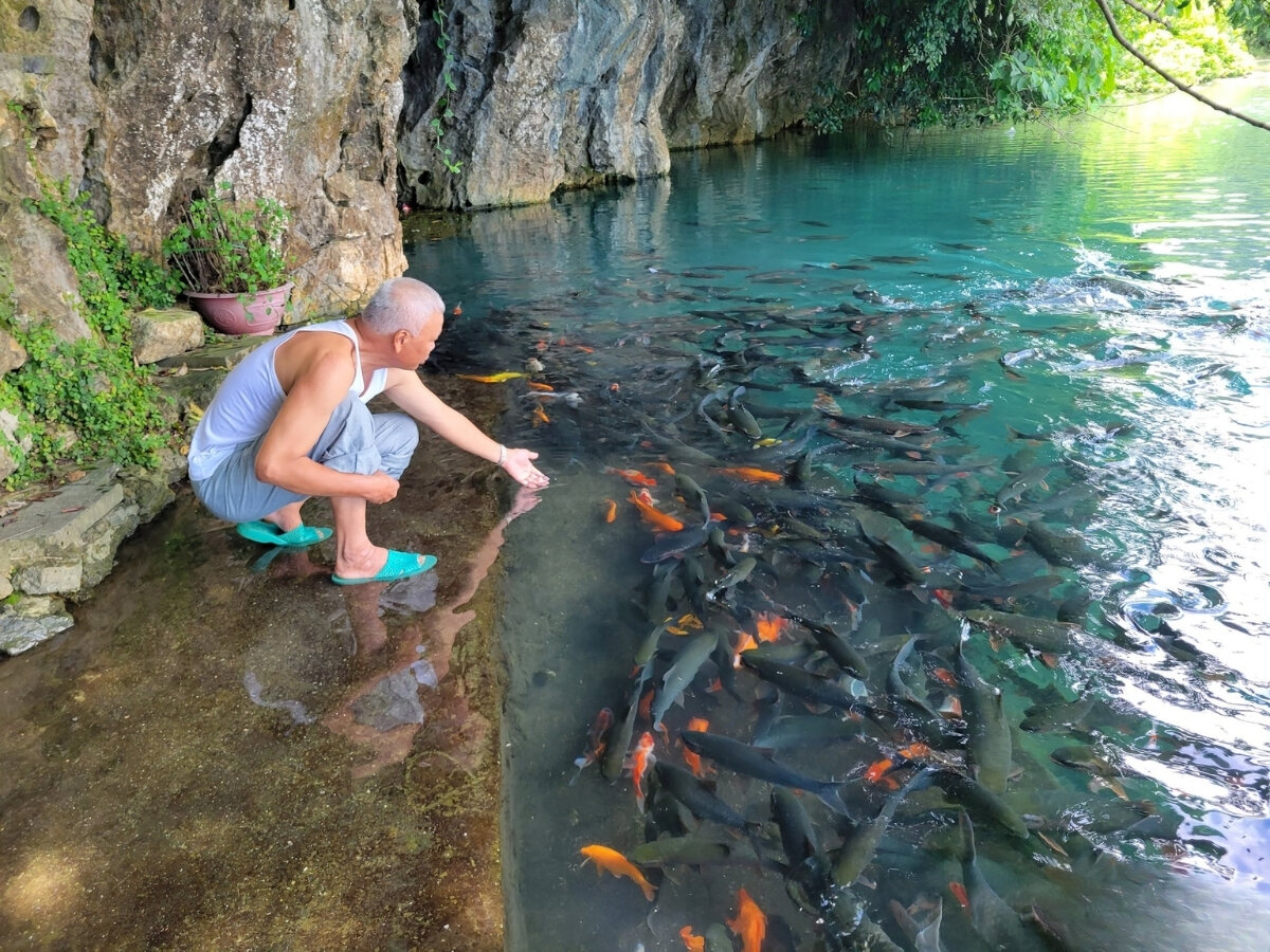 Về Cẩm Lương ngắm cá thần, cầu may mắn đầu xuân