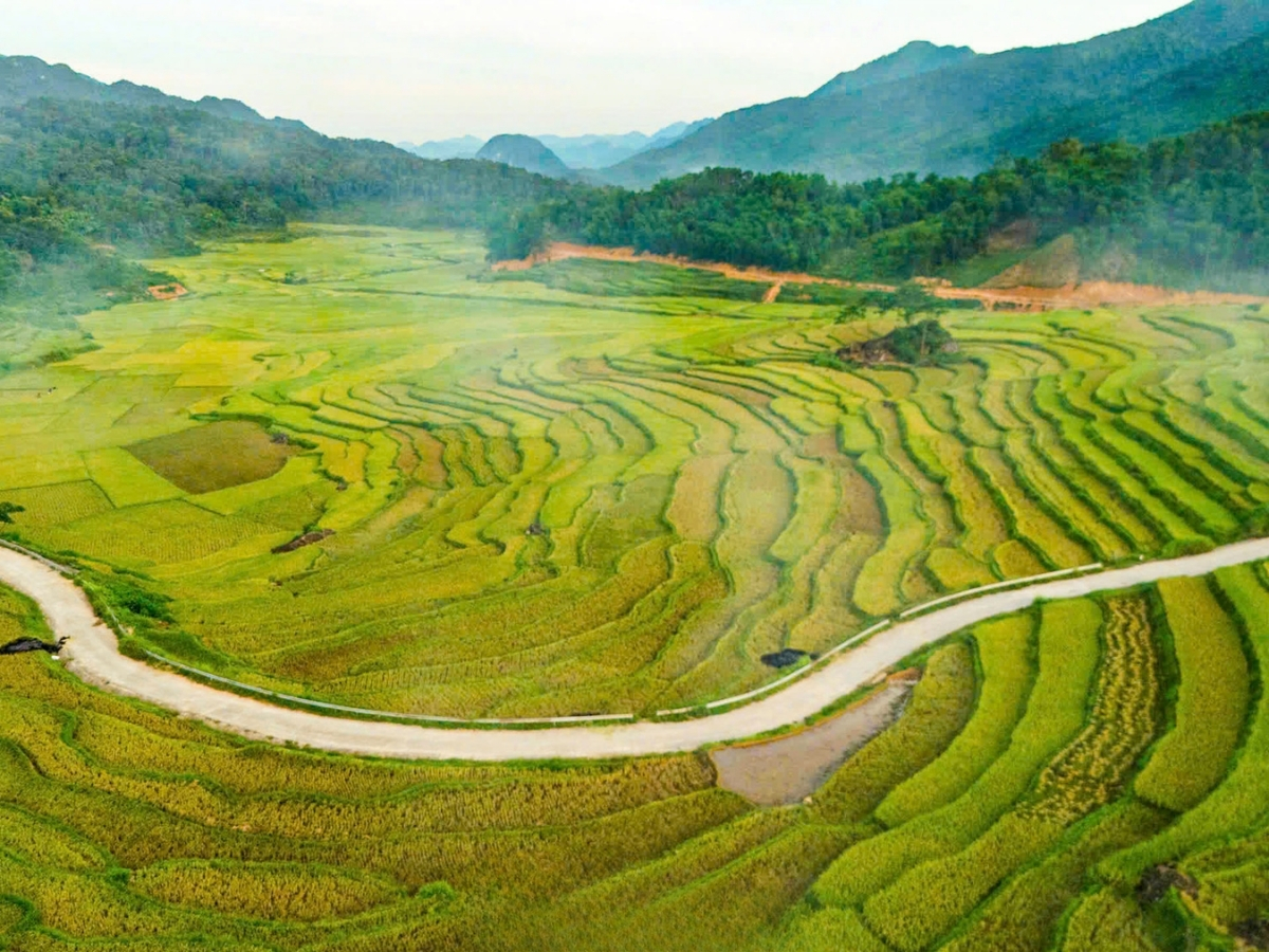 Xuân về Pù Luông trên những bậc thang mây. 