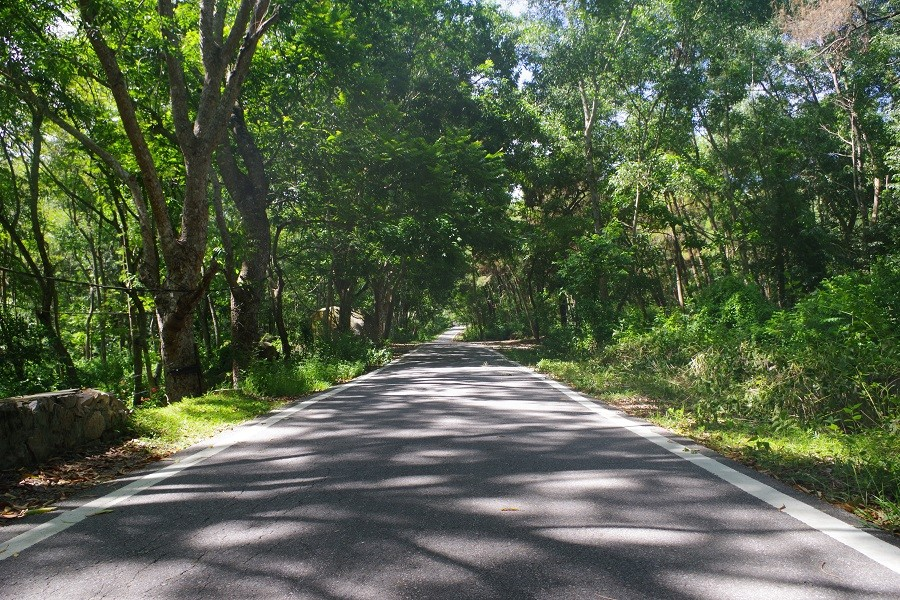 Cung đường đẹp như mơ khi lên núi Thủ Lệ.