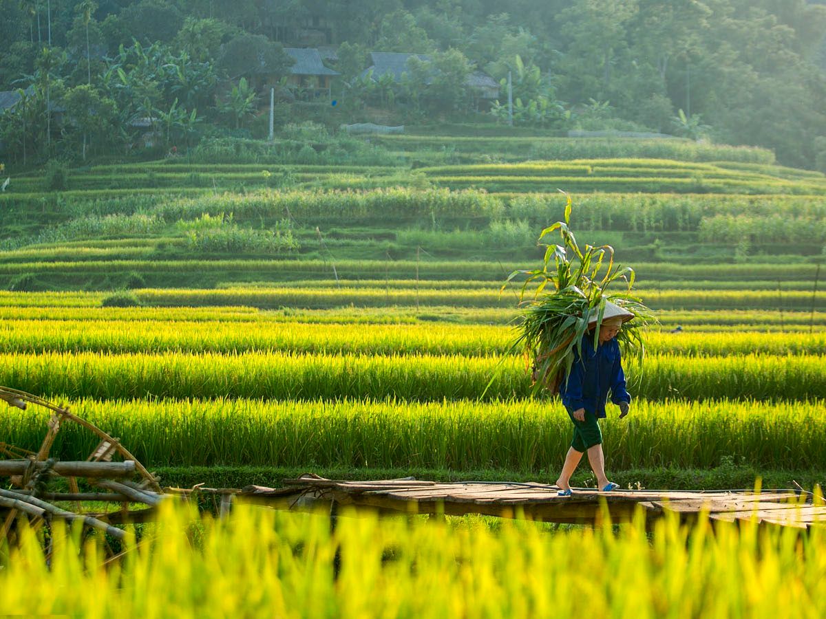 Thanh Hóa là điểm đến có đa dạng hình thức du lịch nghỉ dưỡng, khám phá, tâm linh dịp Tết. Thanh Hóa là điểm đến có đa dạng hình thức du lịch nghỉ dưỡng, khám phá, tâm linh dịp Tết.