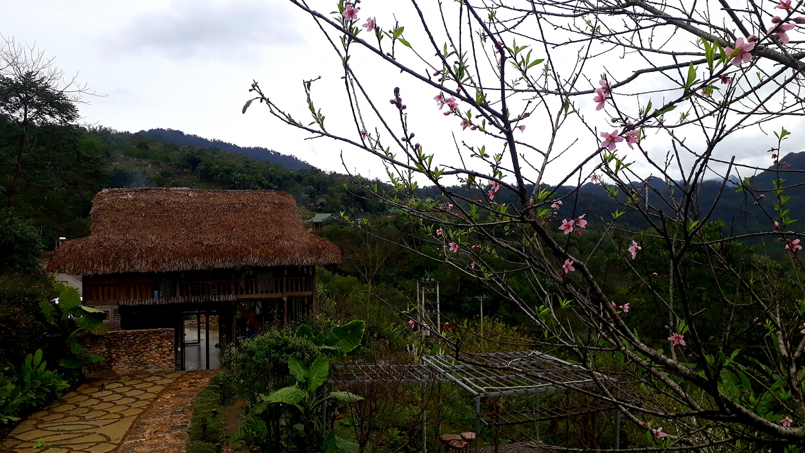 Không khí Tết trải dài từ phố thị đến làng quê truyền thống