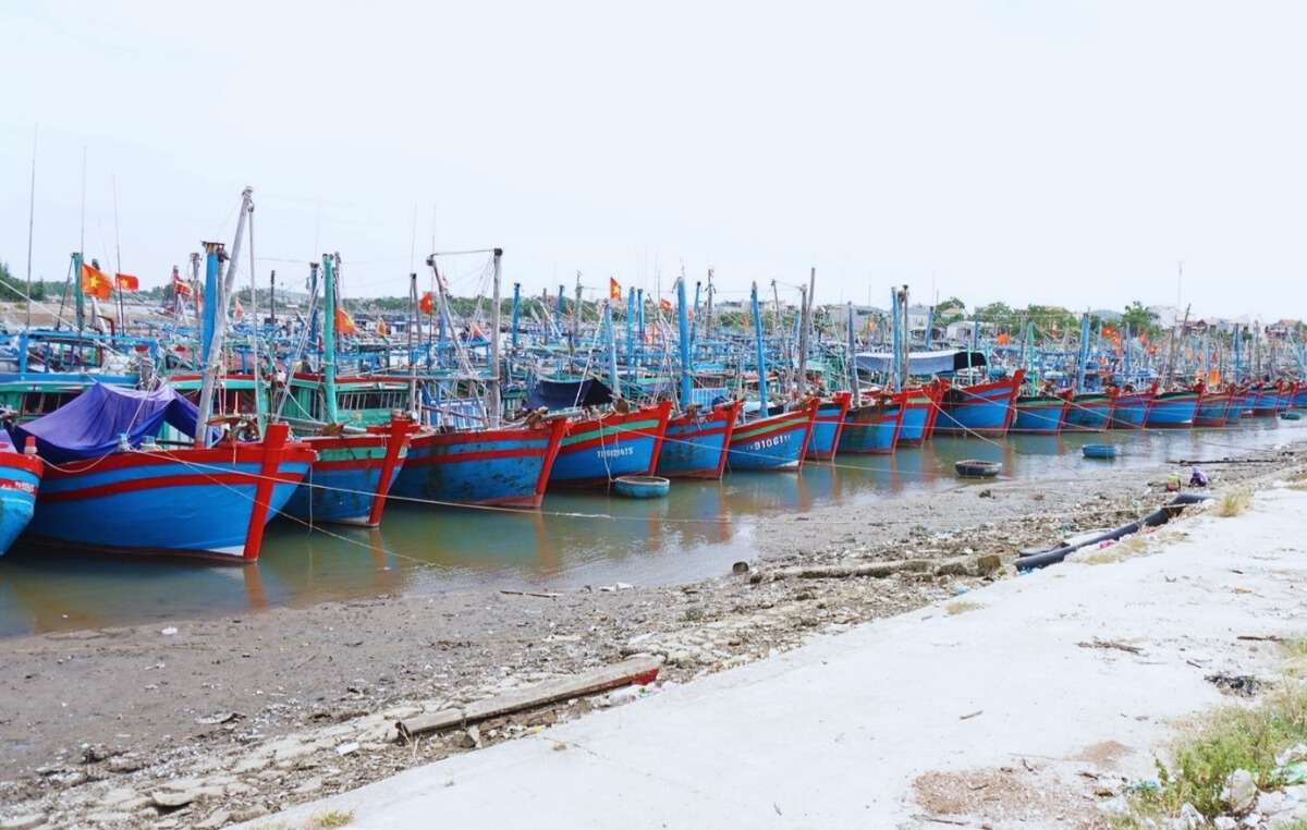 Ảnh Tết mộc mạc mang hồn biển khi đến với làng chài Hải Thanh.