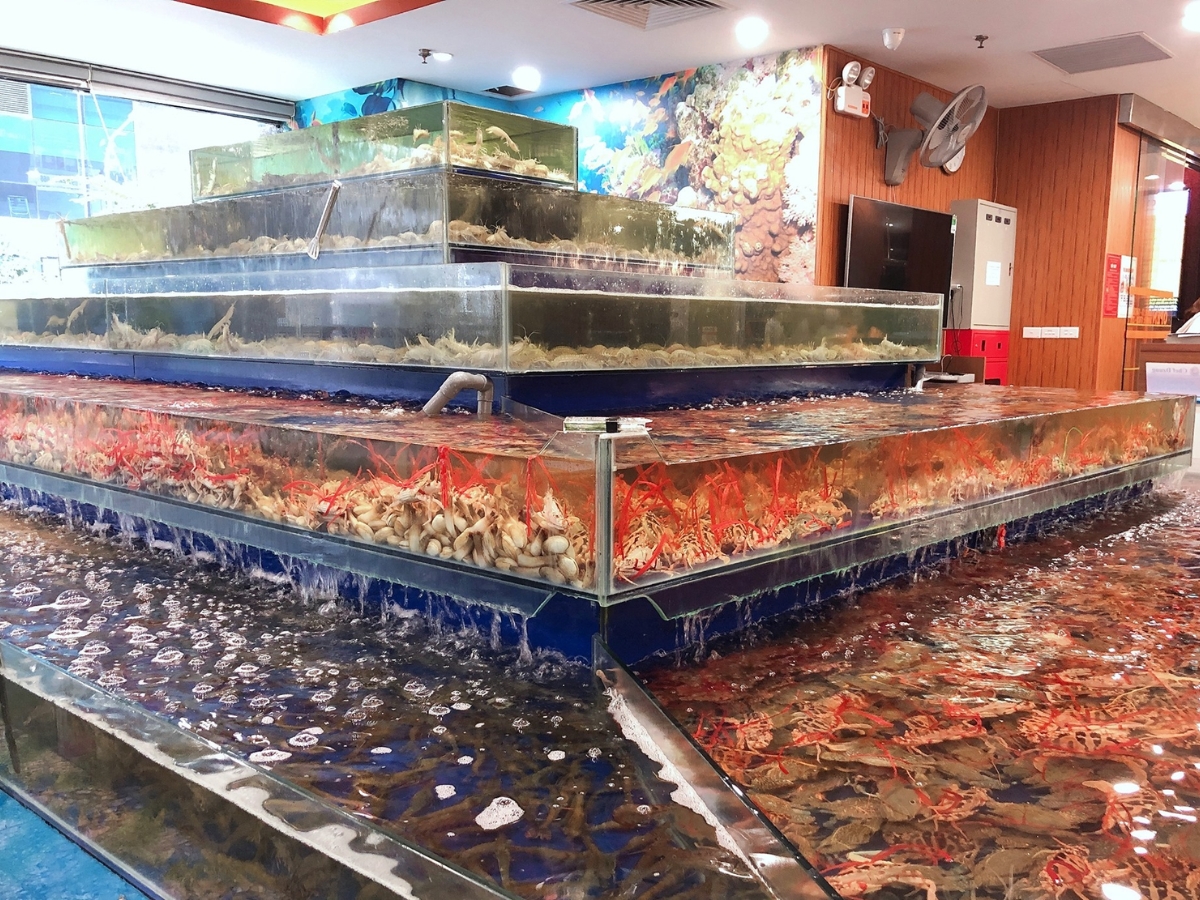 Ưu tiên chọn những quán có bể hải sản tươi sống. (Nguồn: Sưu tầm)