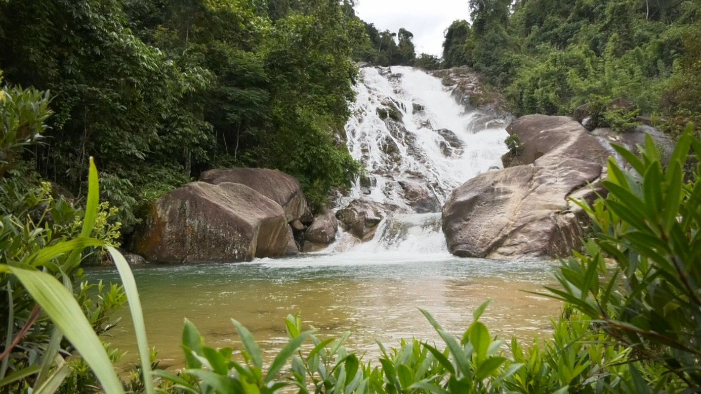 Lối trekking nhẹ nhàng vào thác giữa rừng xanh thoáng đãng