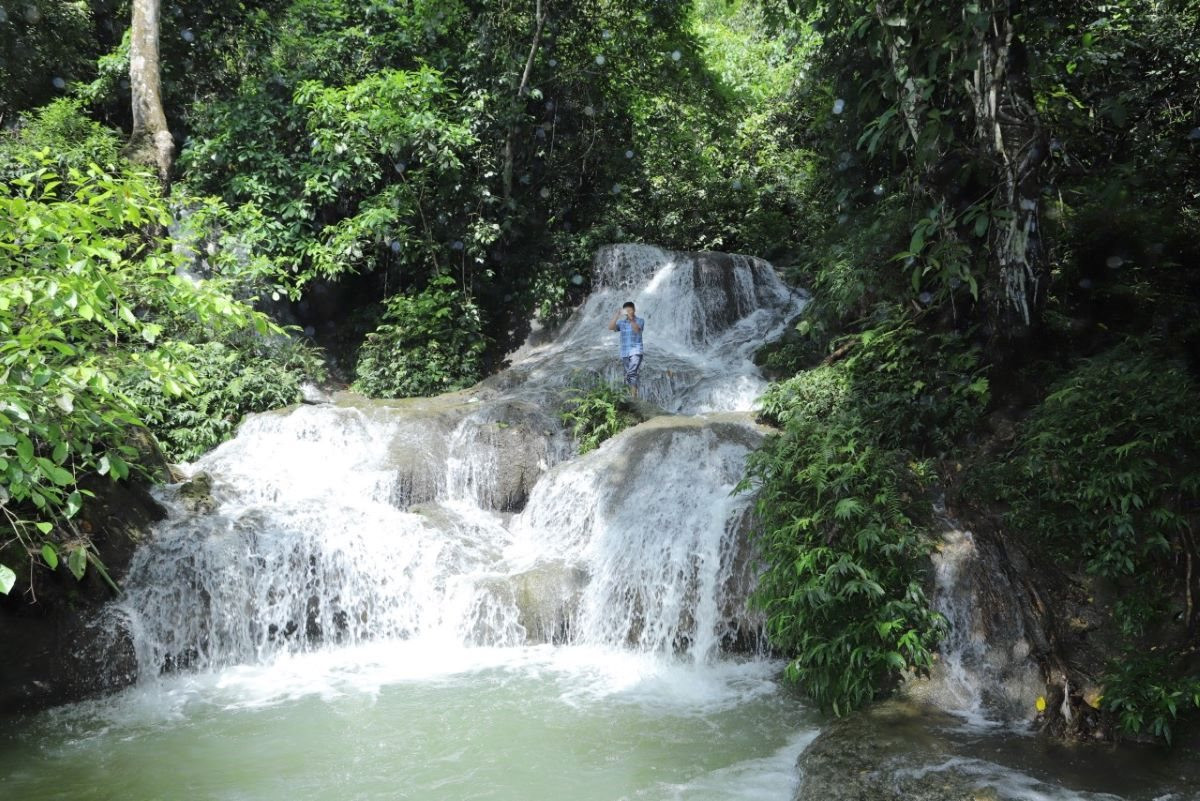 Trekking xuyên rừng nguyên sinh, ánh nắng xuyên qua tán cây tạo hiệu ứng tự nhiên đẹp mắt